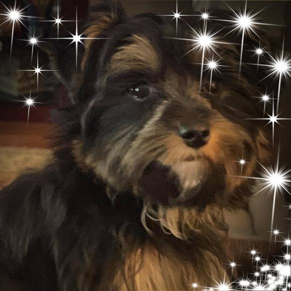 Meet your Posher, Barbara - Picture 1 of 1